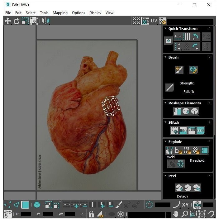 Vintage Organ Jars 3D Model – High Poly Medical Collection, FBX, OBJ - View 37