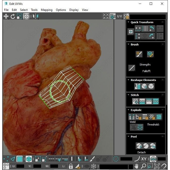 Vintage Organ Jars 3D Model – High Poly Medical Collection, FBX, OBJ - View 38