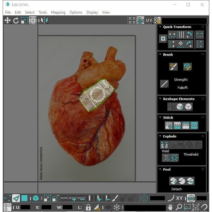 Vintage Organ Jars 3D Model – High Poly Medical Collection, FBX, OBJ - View 39