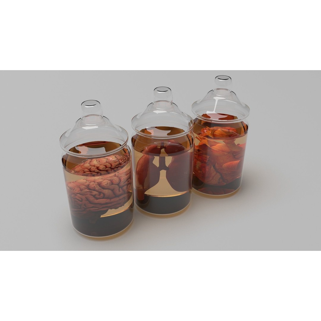 Vintage Organ Jars 3D Model – High Poly Medical Collection, FBX, OBJ - View 4