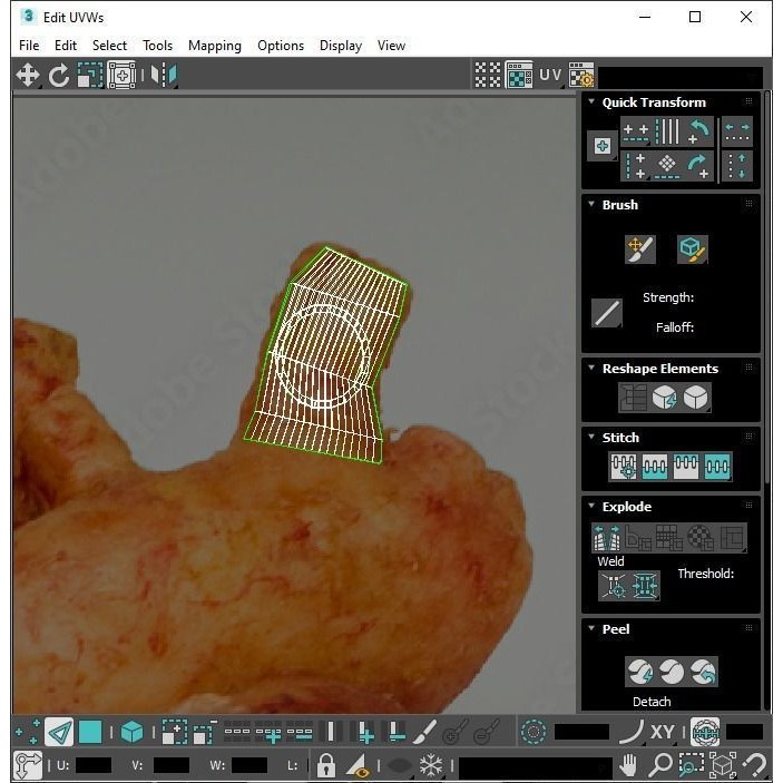 Vintage Organ Jars 3D Model – High Poly Medical Collection, FBX, OBJ - View 40