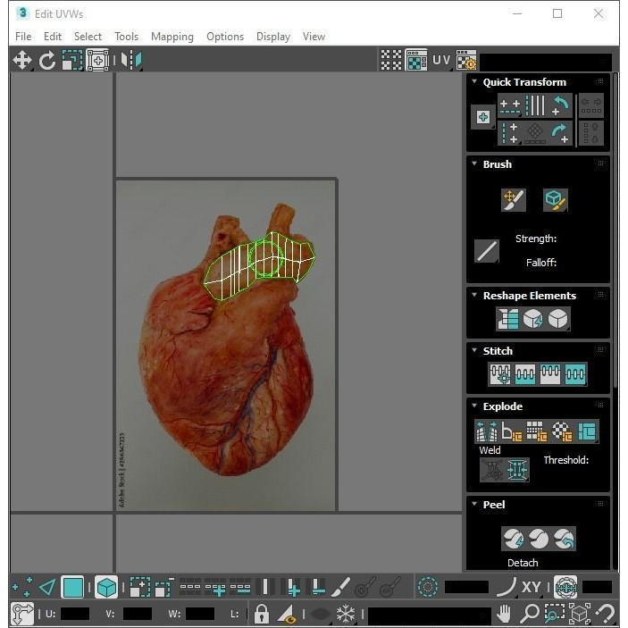 Vintage Organ Jars 3D Model – High Poly Medical Collection, FBX, OBJ - View 41