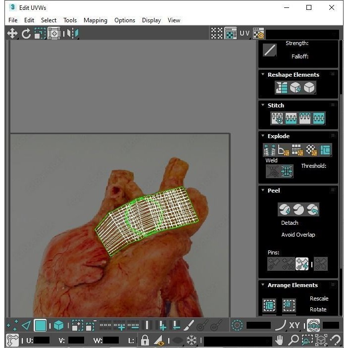 Vintage Organ Jars 3D Model – High Poly Medical Collection, FBX, OBJ - View 42