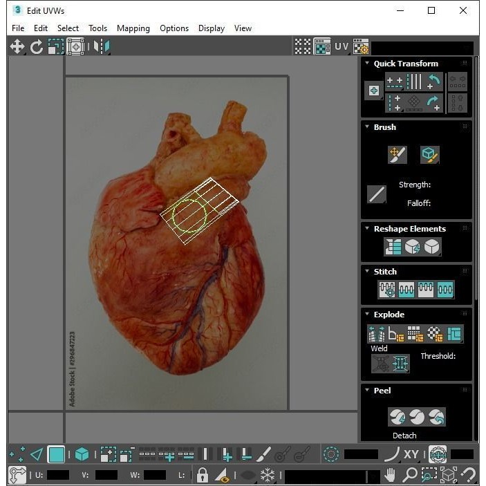 Vintage Organ Jars 3D Model – High Poly Medical Collection, FBX, OBJ - View 43