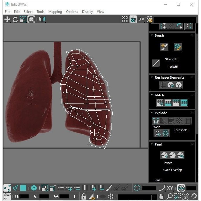Vintage Organ Jars 3D Model – High Poly Medical Collection, FBX, OBJ - View 44