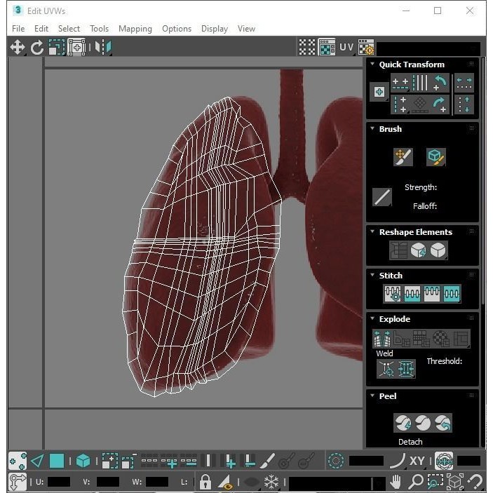 Vintage Organ Jars 3D Model – High Poly Medical Collection, FBX, OBJ - View 45
