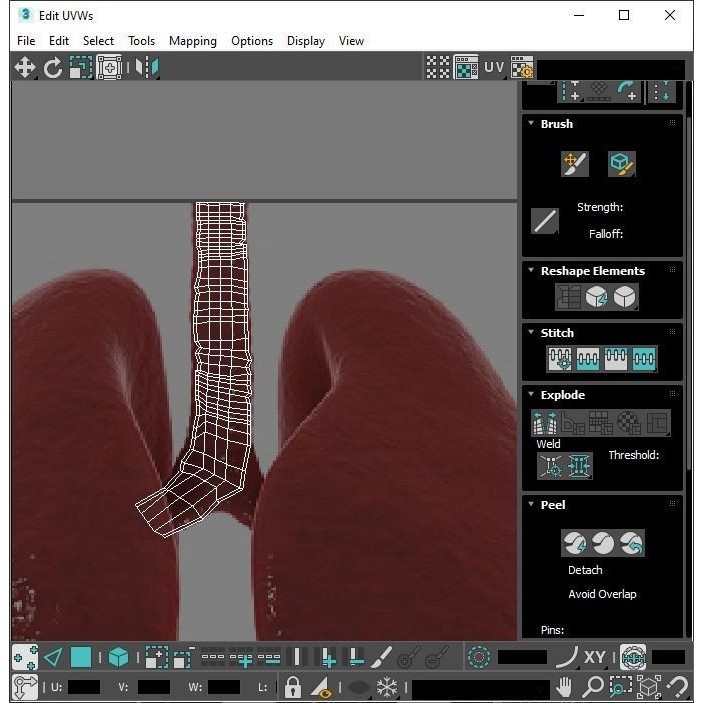 Vintage Organ Jars 3D Model – High Poly Medical Collection, FBX, OBJ - View 49