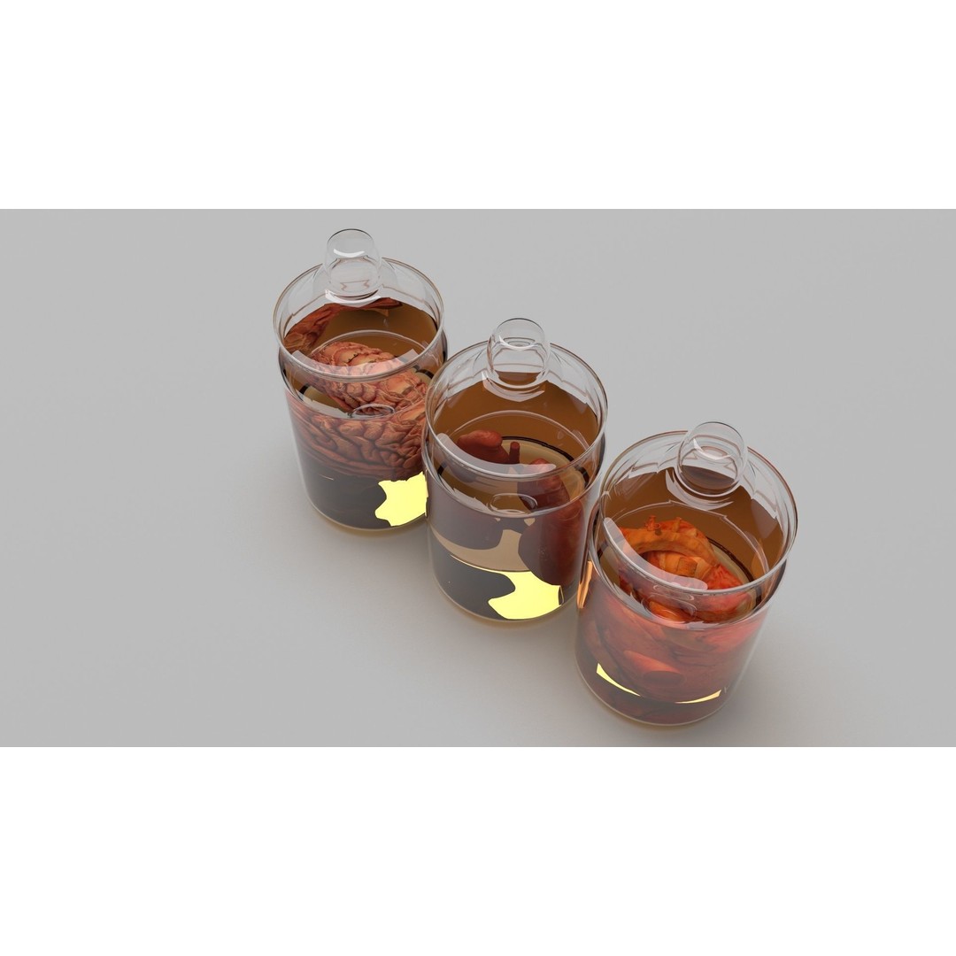 Vintage Organ Jars 3D Model – High Poly Medical Collection, FBX, OBJ - View 5