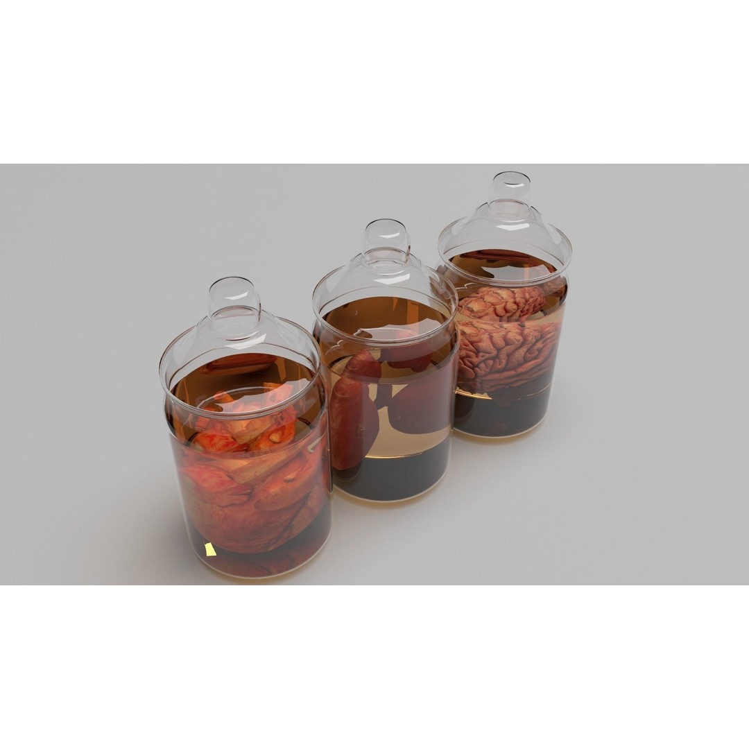 Vintage Organ Jars 3D Model – High Poly Medical Collection, FBX, OBJ - View 6