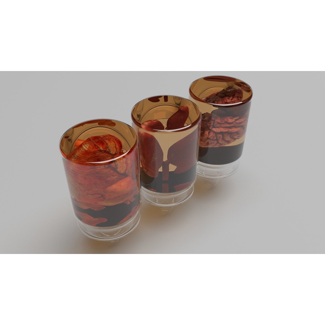 Vintage Organ Jars 3D Model – High Poly Medical Collection, FBX, OBJ - View 7