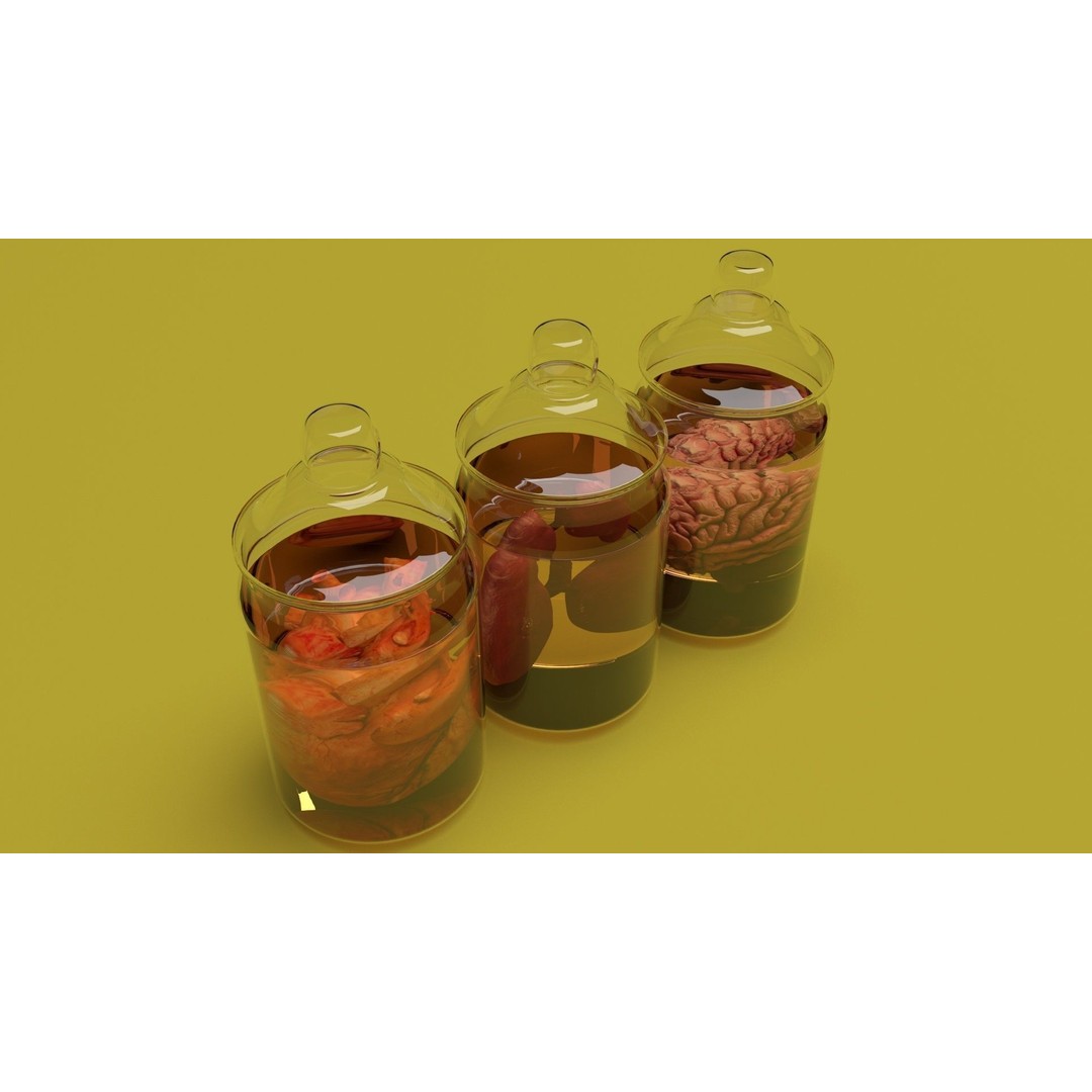 Vintage Organ Jars 3D Model – High Poly Medical Collection, FBX, OBJ - View 8
