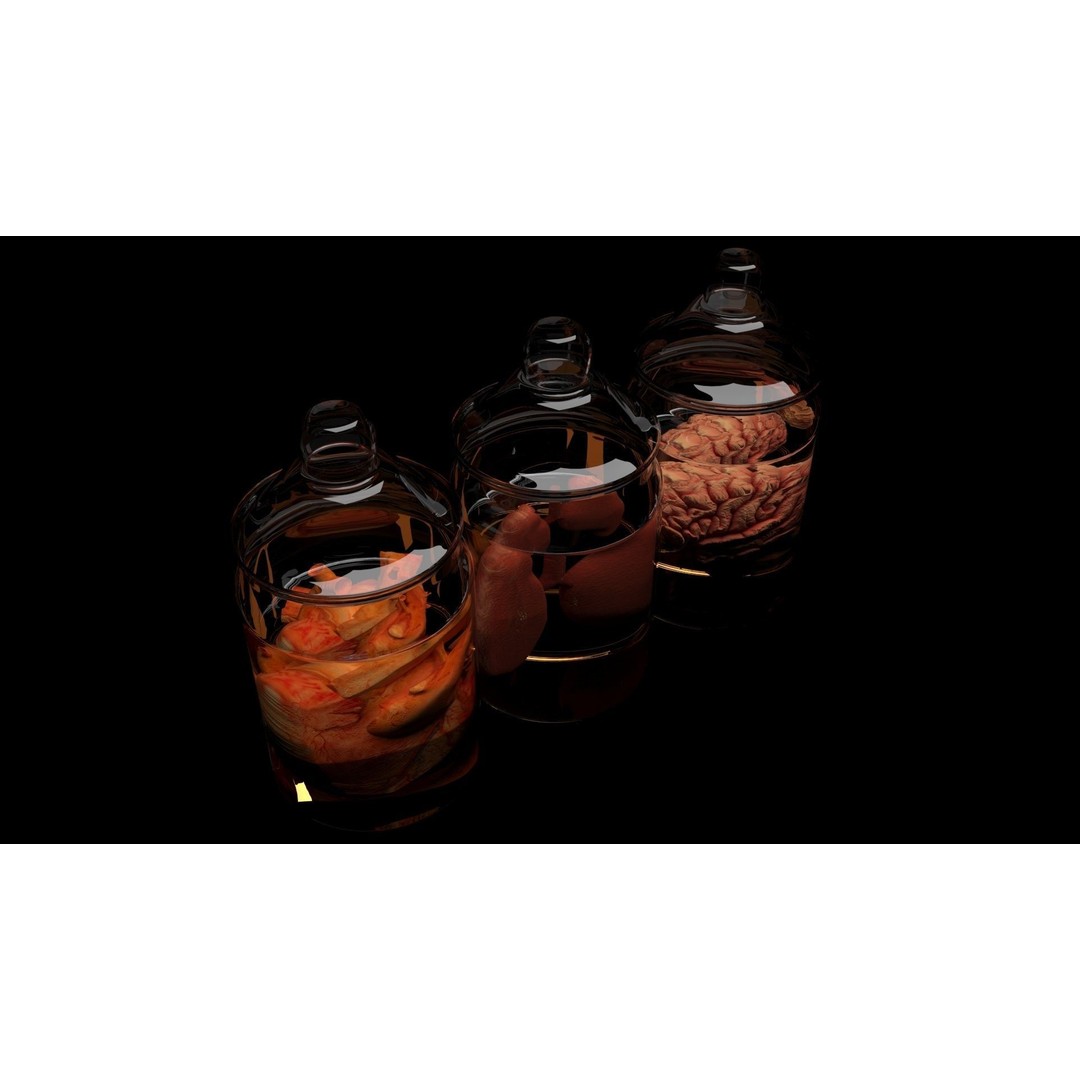 Vintage Organ Jars 3D Model – High Poly Medical Collection, FBX, OBJ - View 9