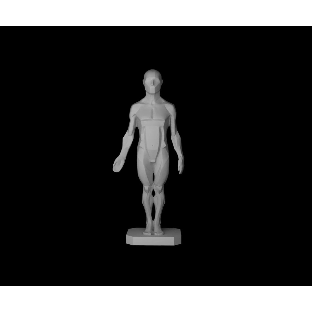 Male Planes of the Body 3D Model – John Asaro Anatomical Sculpture, OBJ, STL - View 2