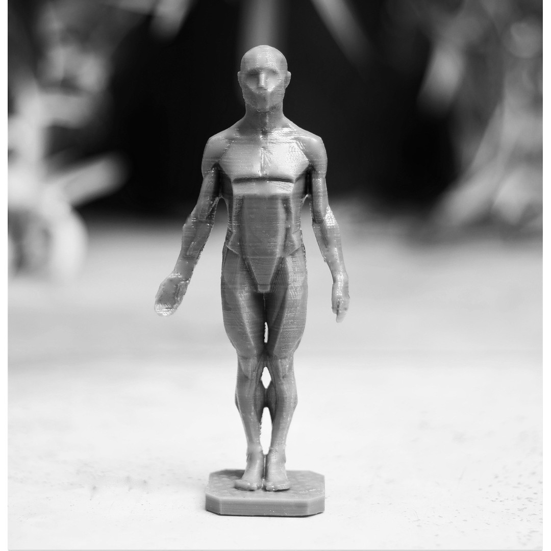 Male Planes of the Body 3D Model – John Asaro Anatomical Sculpture, OBJ, STL - View 3