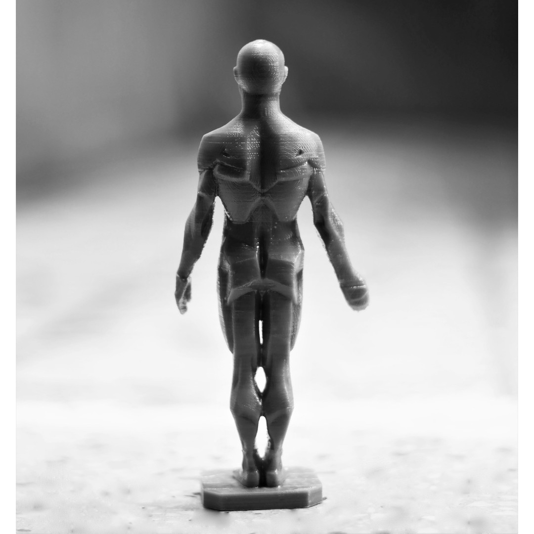 Male Planes of the Body 3D Model – John Asaro Anatomical Sculpture, OBJ, STL - View 5