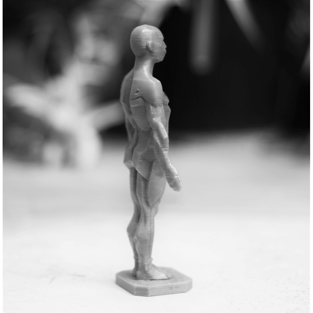 Male Planes of the Body 3D Model – John Asaro Anatomical Sculpture, OBJ, STL - View 7