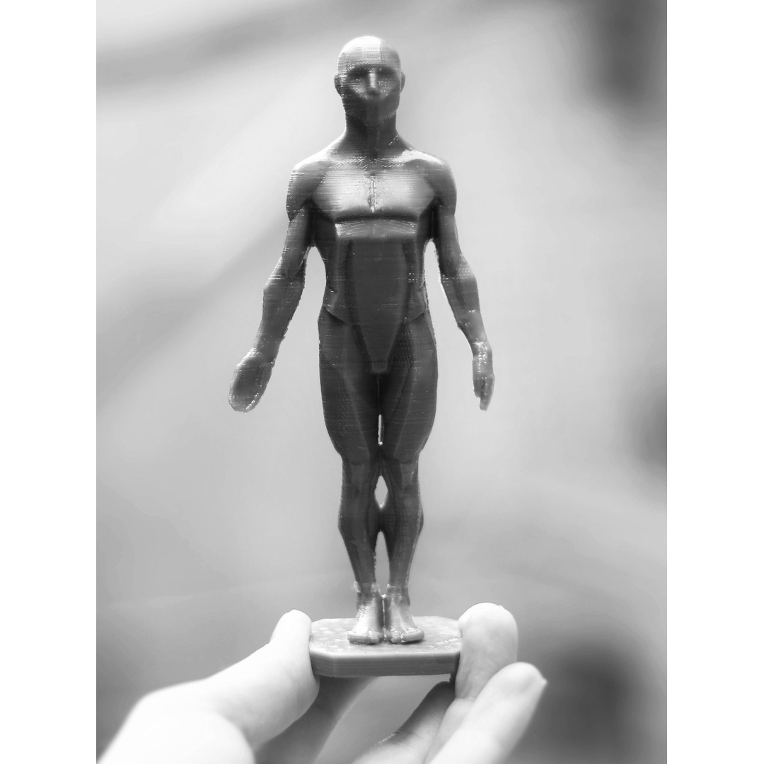 Male Planes of the Body 3D Model – John Asaro Anatomical Sculpture, OBJ, STL - View 9