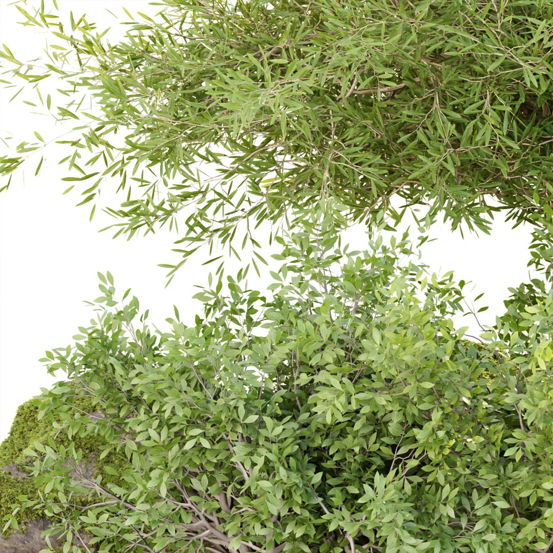 Outdoor Landscape Plants 3D Model – Premium Nature Asset Bundle, FBX - View 10