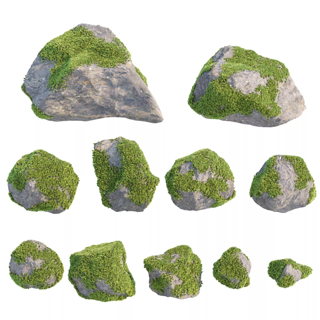 Outdoor Landscape Plants 3D Model – Premium Nature Asset Bundle, FBX - View 17
