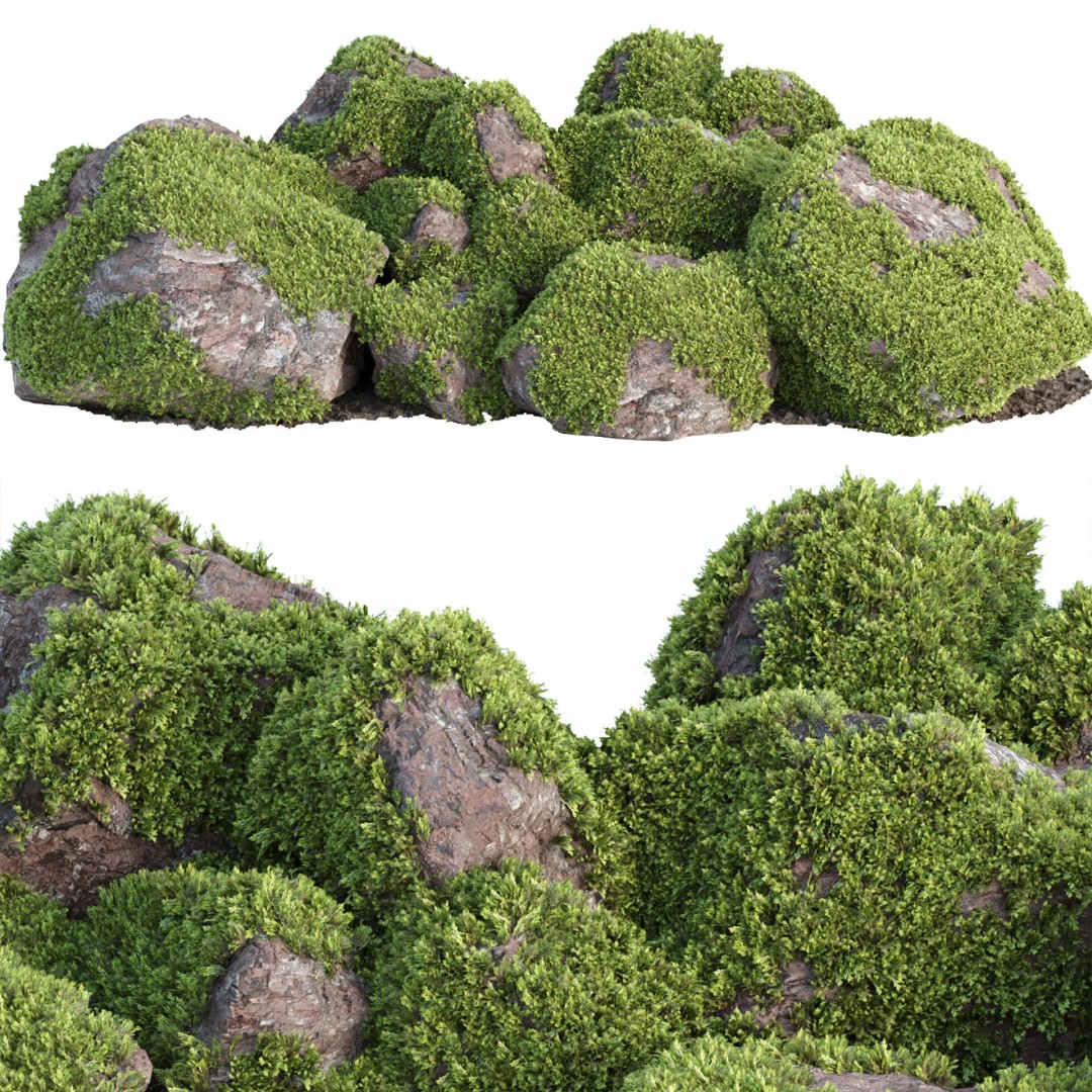 Outdoor Landscape Plants 3D Model – Premium Nature Asset Bundle, FBX - View 21