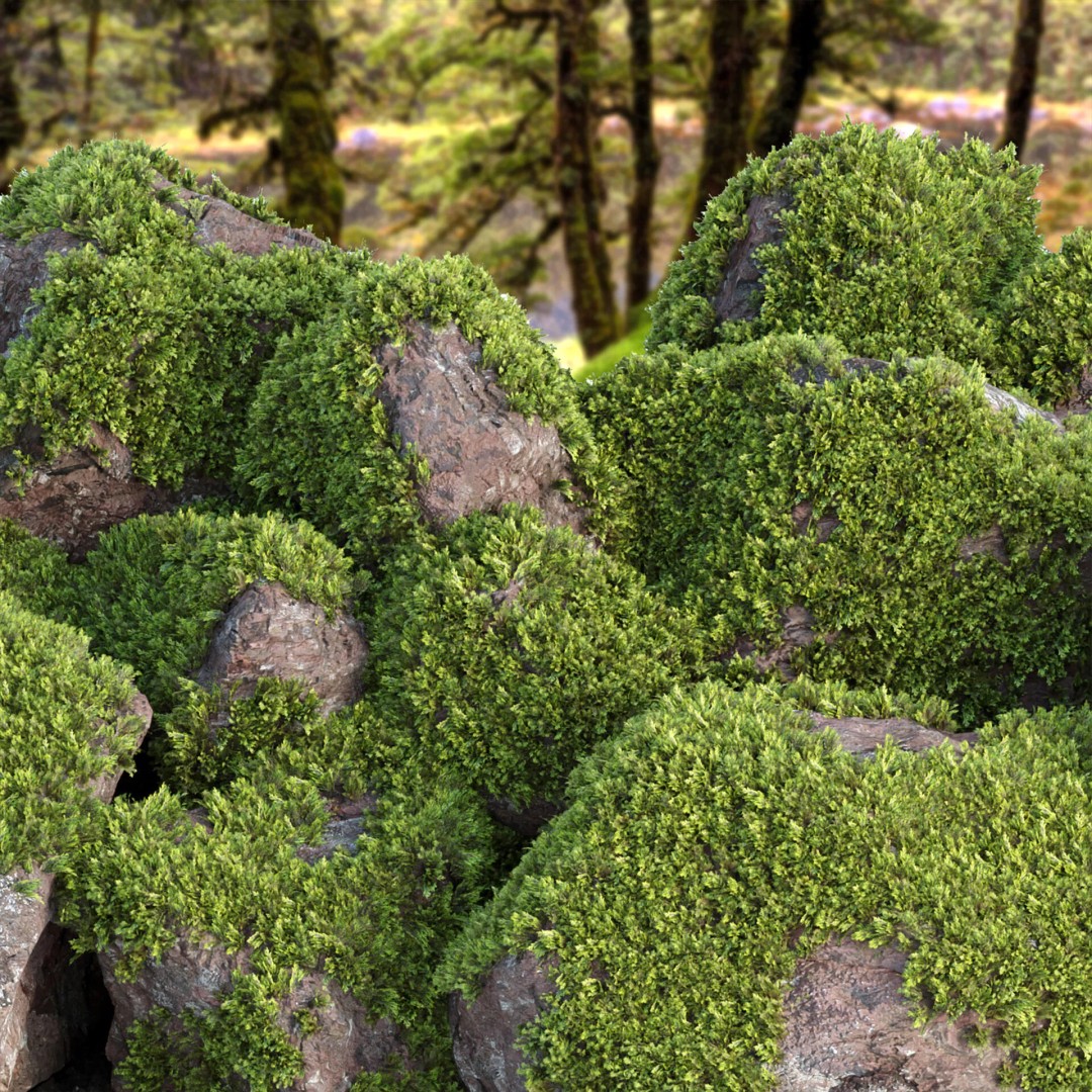 Outdoor Landscape Plants 3D Model – Premium Nature Asset Bundle, FBX - View 22