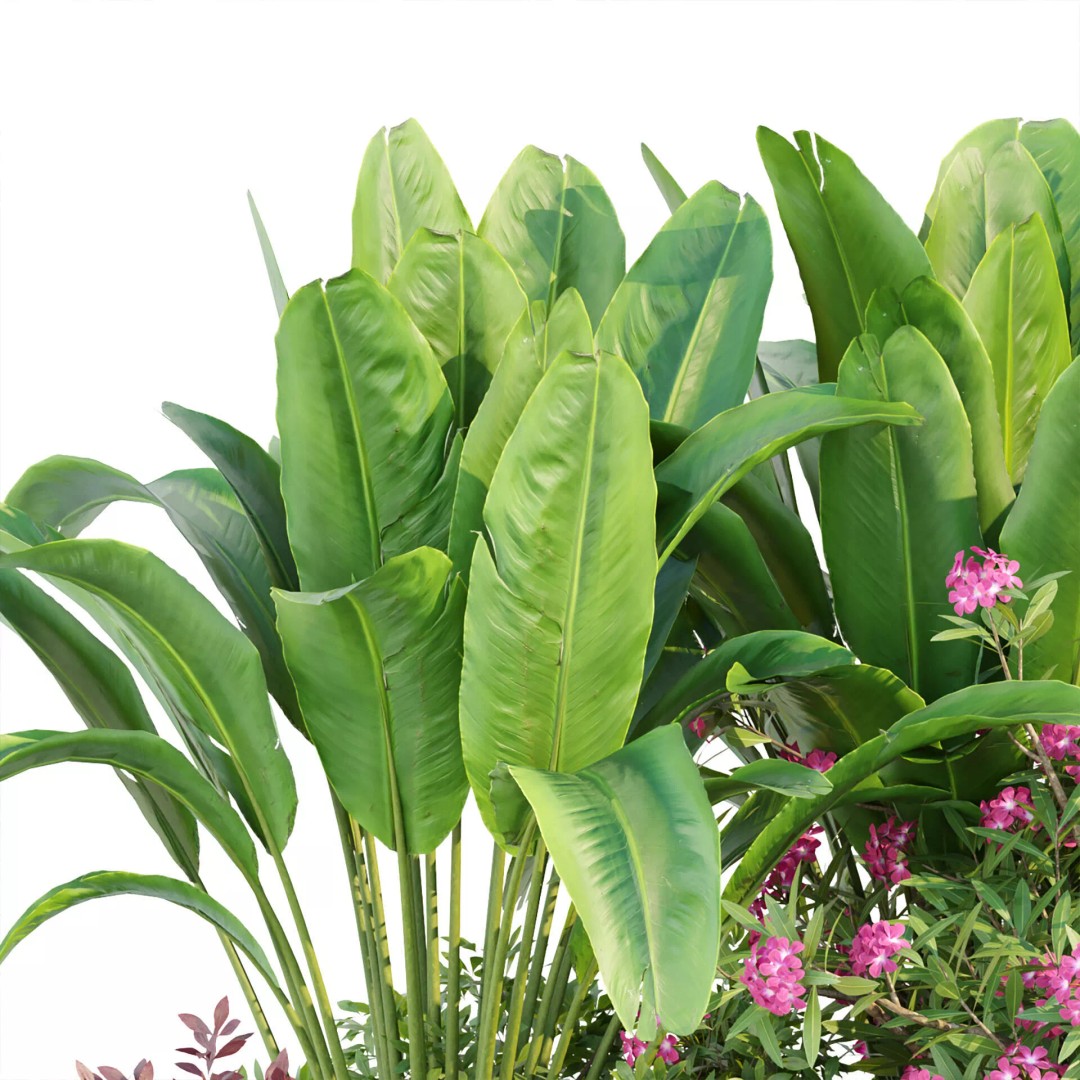 Outdoor Landscape Plants 3D Model – Premium Nature Asset Bundle, FBX - View 30