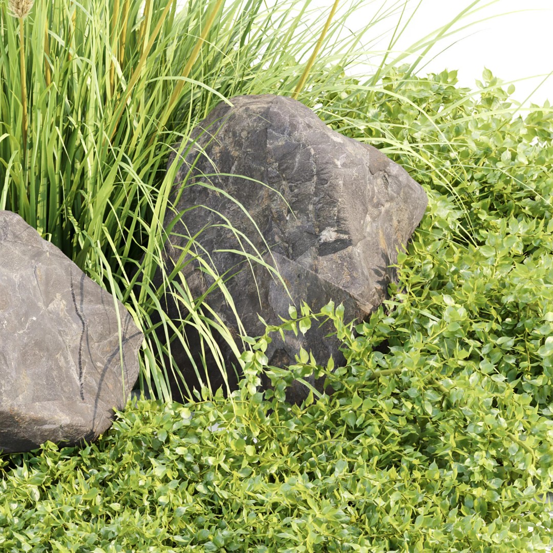 Outdoor Landscape Plants 3D Model – Premium Nature Asset Bundle, FBX - View 35