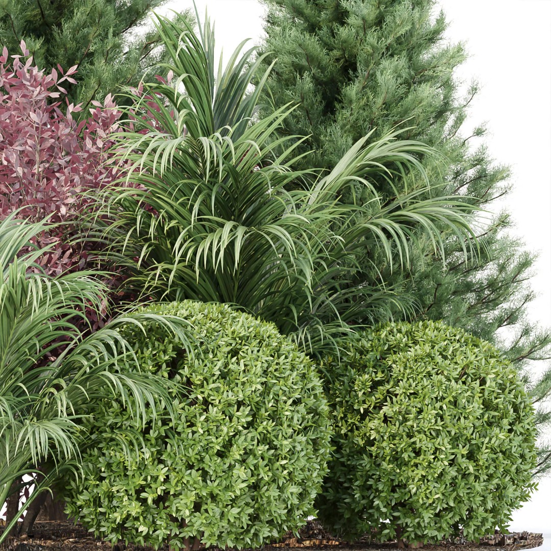 Outdoor Landscape Plants 3D Model – Premium Nature Asset Bundle, FBX - View 4