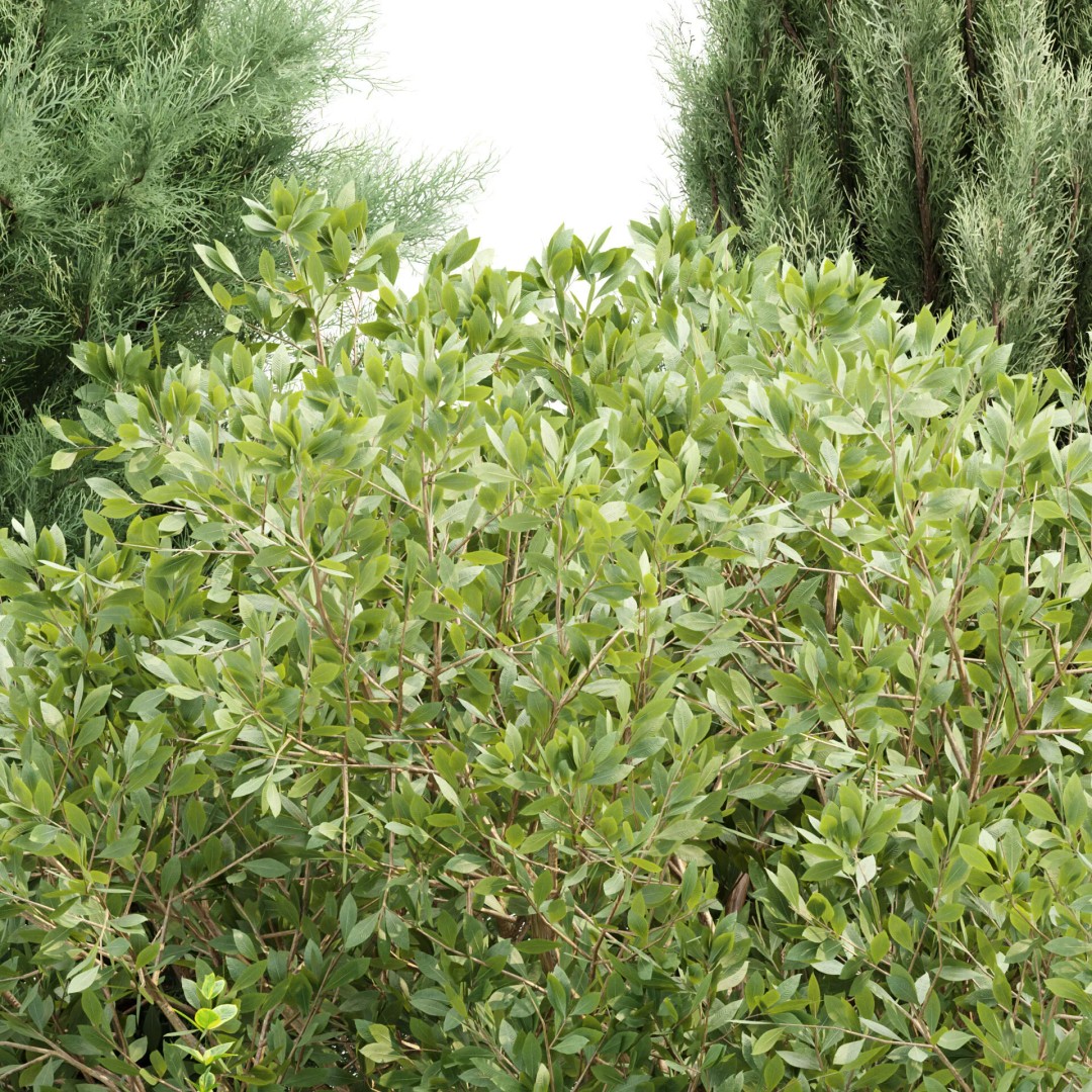 Outdoor Landscape Plants 3D Model – Premium Nature Asset Bundle, FBX - View 40