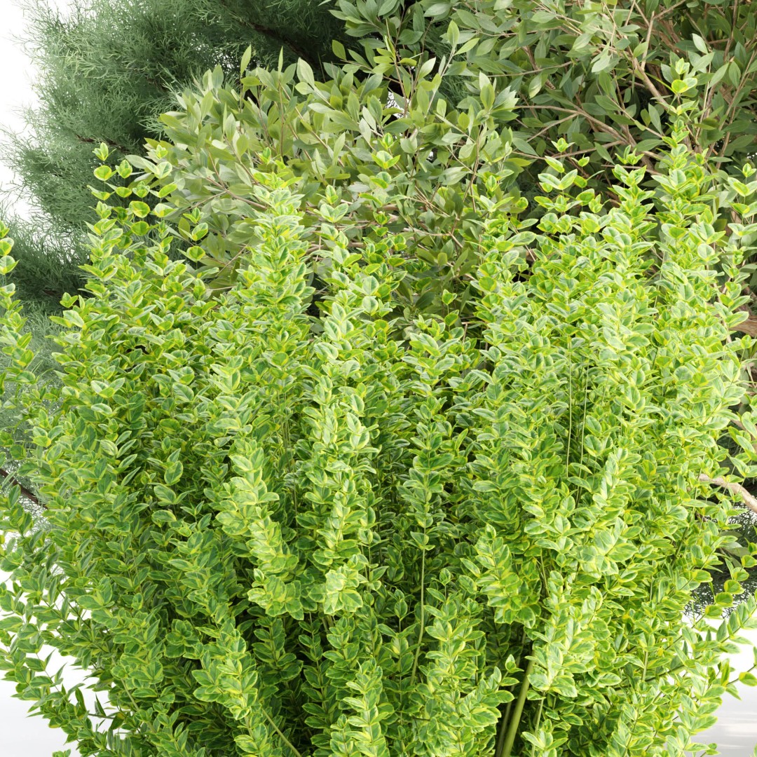 Outdoor Landscape Plants 3D Model – Premium Nature Asset Bundle, FBX - View 42