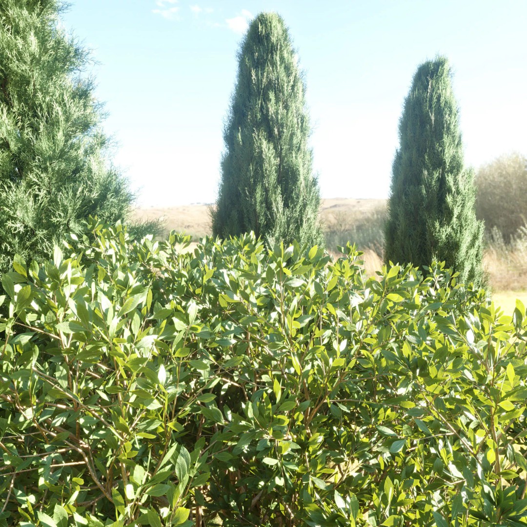 Outdoor Landscape Plants 3D Model – Premium Nature Asset Bundle, FBX - View 43