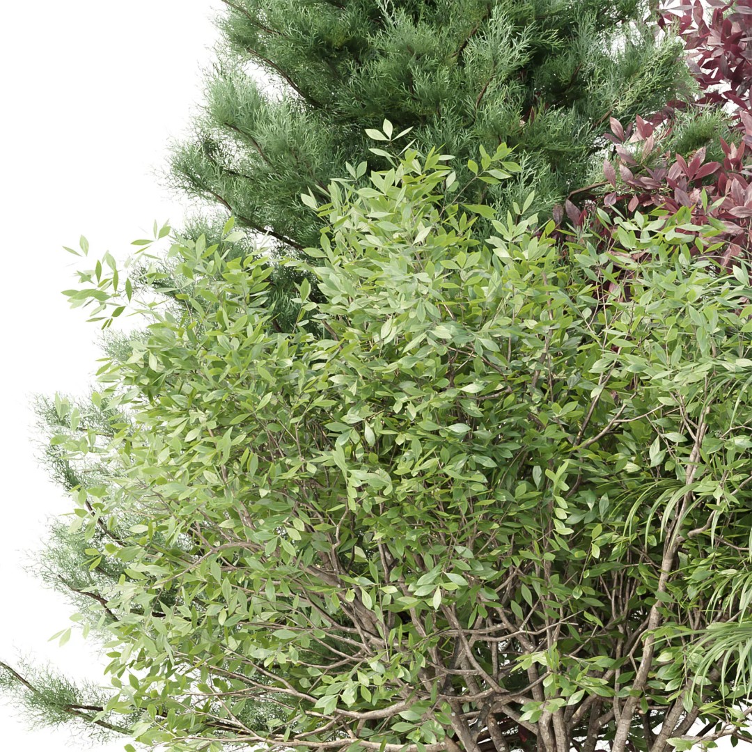 Outdoor Landscape Plants 3D Model – Premium Nature Asset Bundle, FBX - View 6