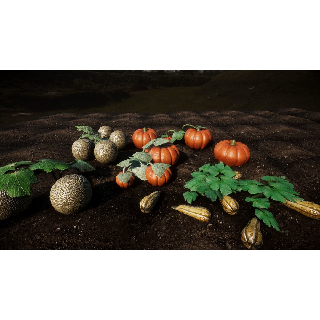 Vegetable Plants 3D Model – Low Poly Game Asset, FBX, Unity Ready - View 3