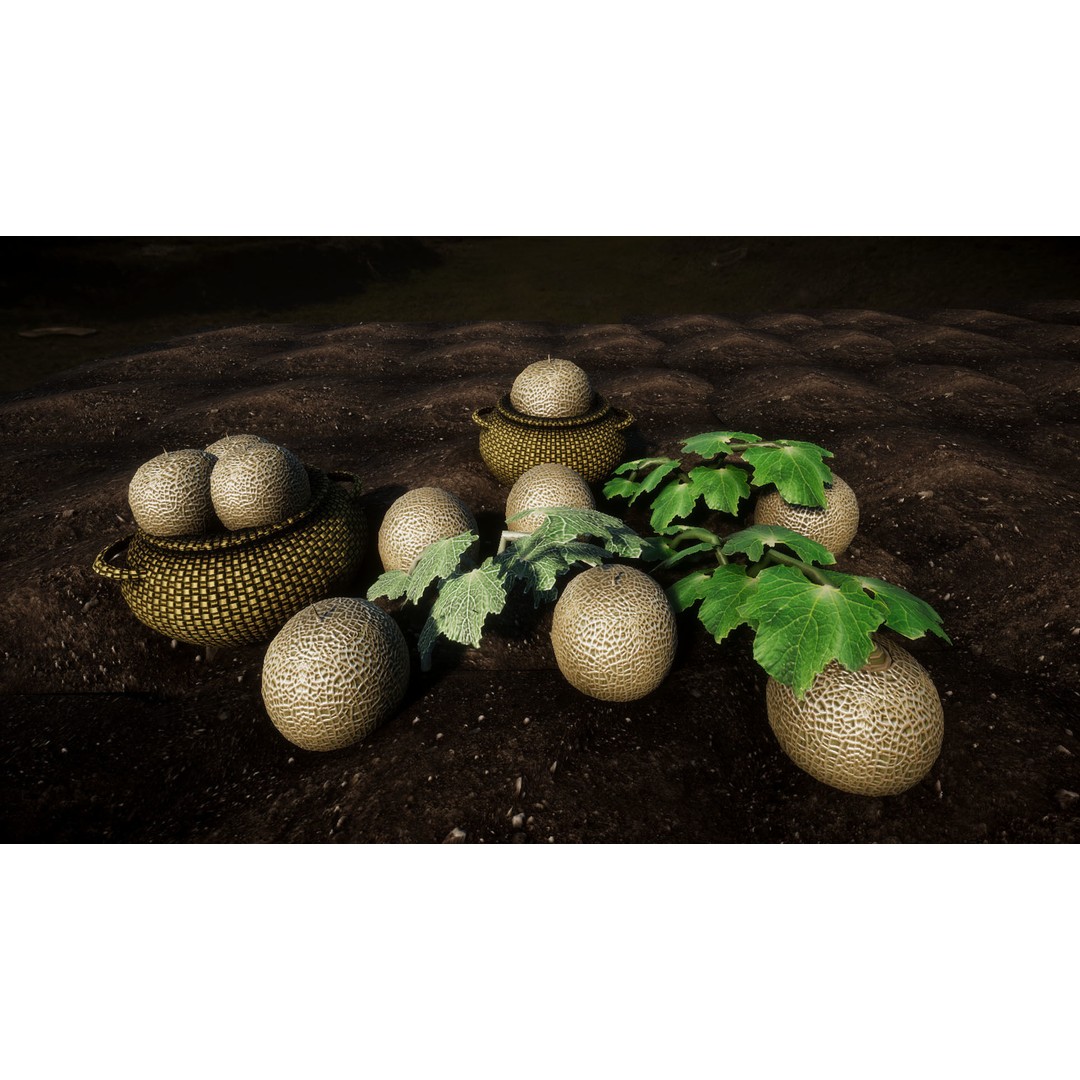Vegetable Plants 3D Model – Low Poly Game Asset, FBX, Unity Ready - View 5