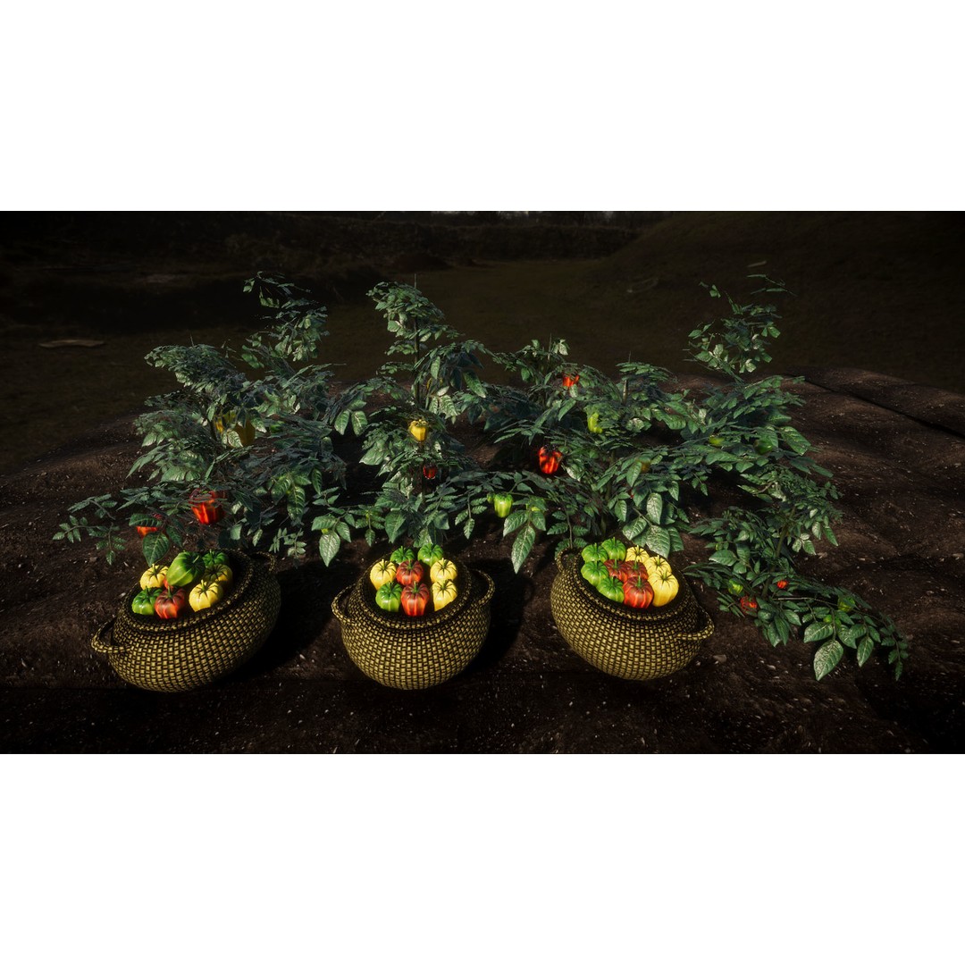 Vegetable Plants 3D Model – Low Poly Game Asset, FBX, Unity Ready - View 7