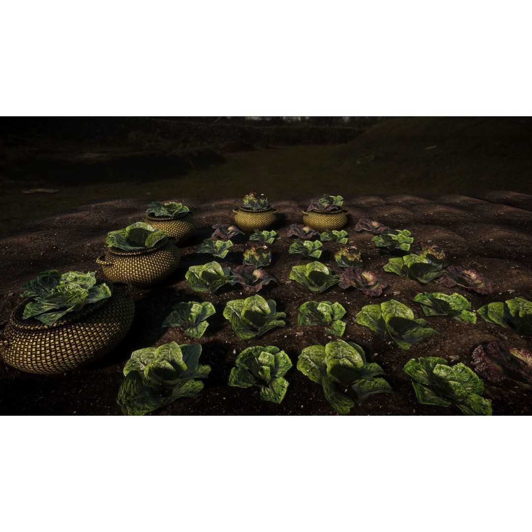 Vegetable Plants 3D Model – Low Poly Game Asset, FBX, Unity Ready - View 8