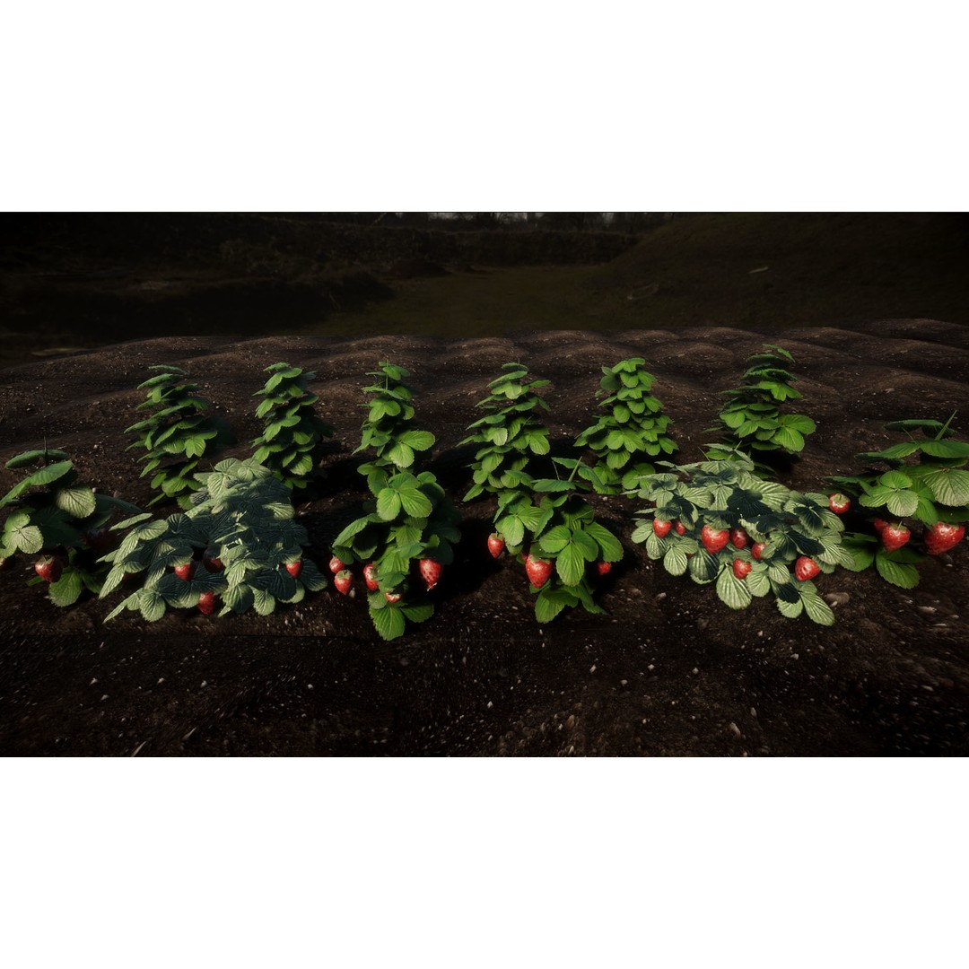 Vegetable Plants 3D Model – Low Poly Game Asset, FBX, Unity Ready - View 9
