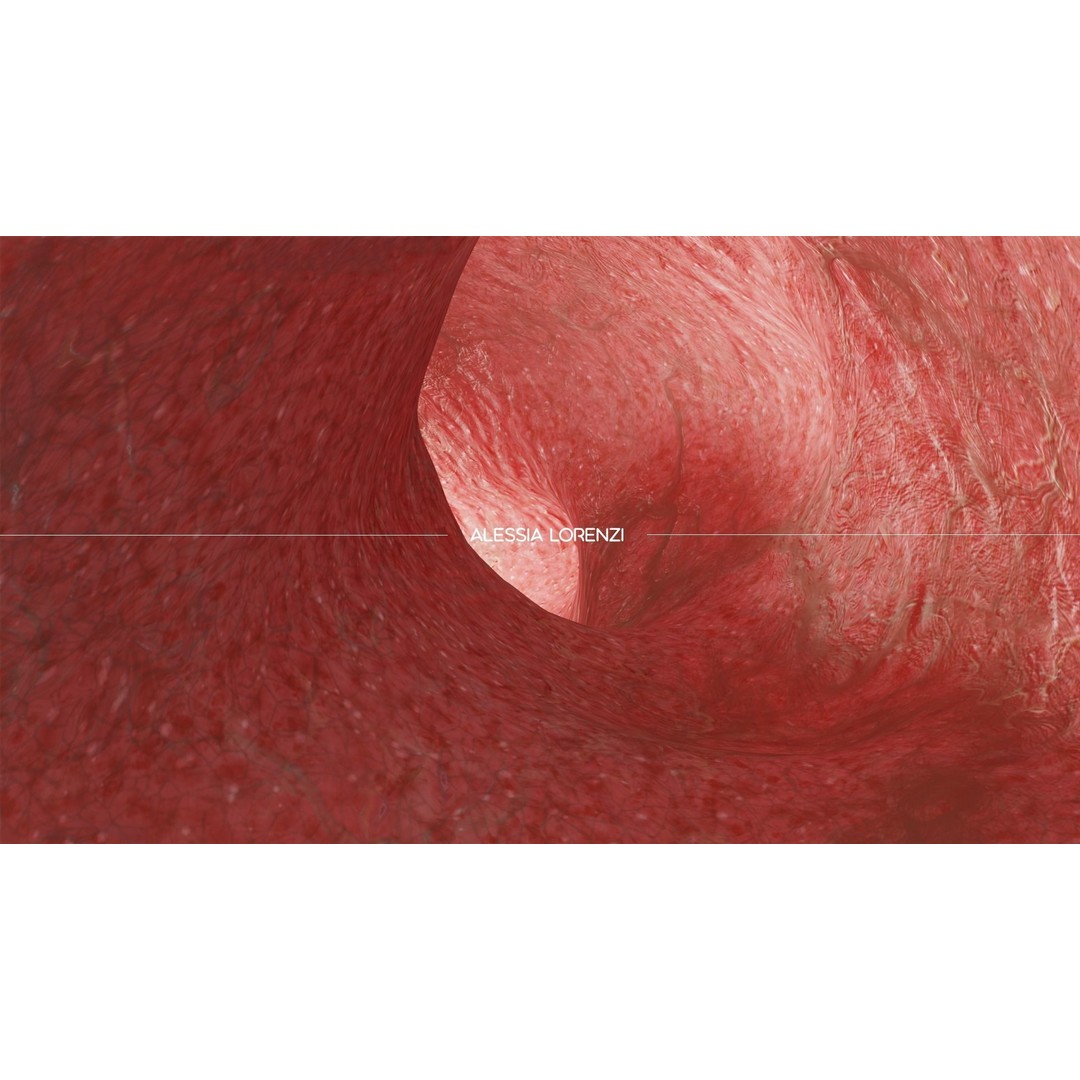 Blood Inside Veins 3D Model – Realistic Medical Asset, PBR Textures - View 13