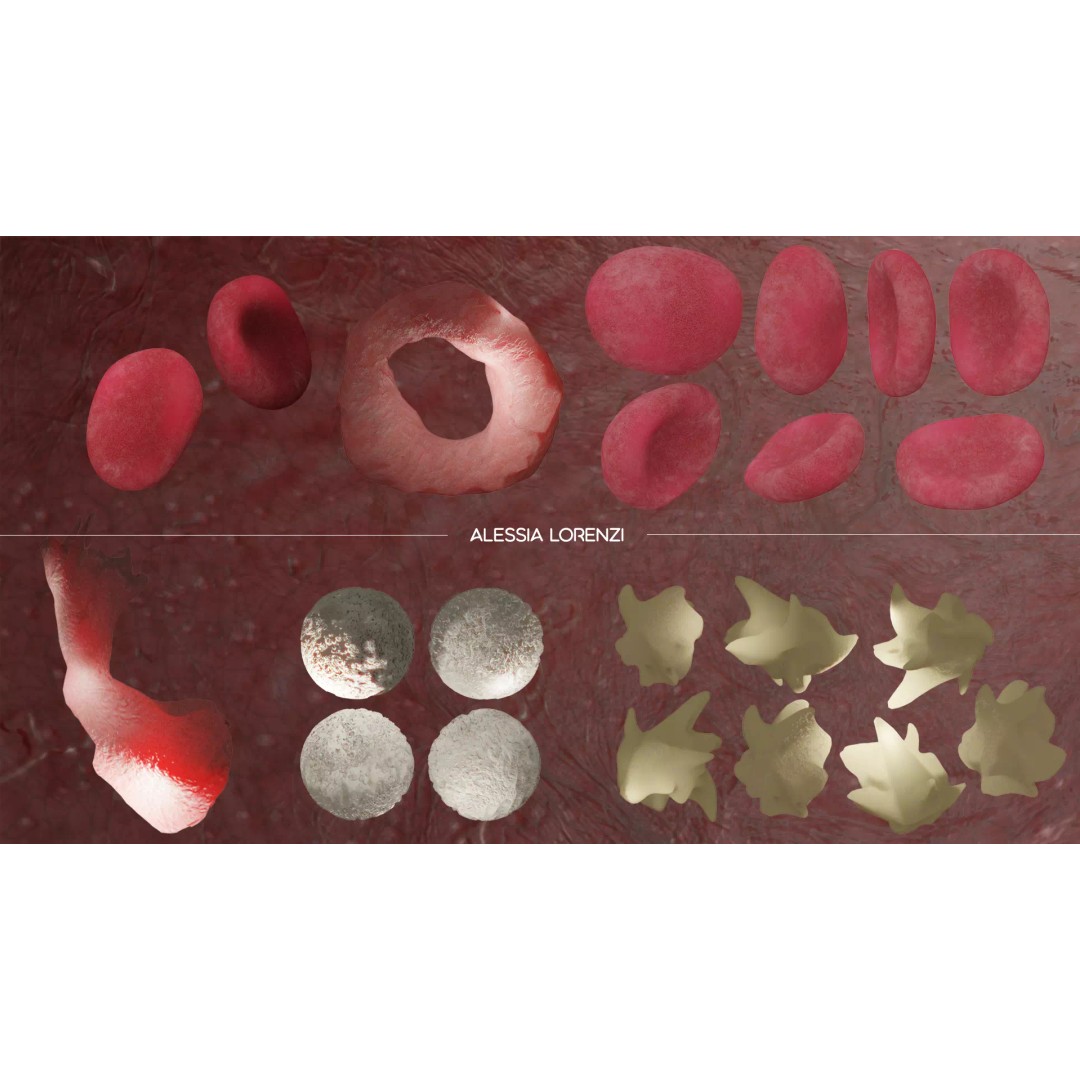 Blood Inside Veins 3D Model – Realistic Medical Asset, PBR Textures - View 2