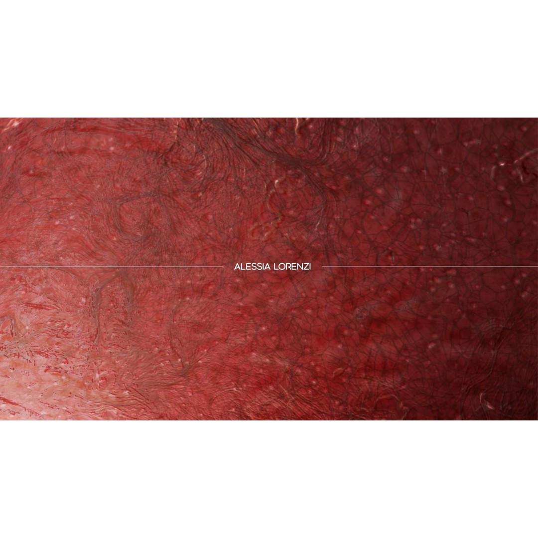 Blood Inside Veins 3D Model – Realistic Medical Asset, PBR Textures - View 4