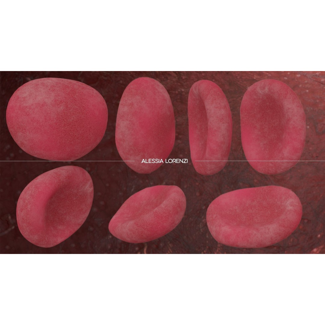 Blood Inside Veins 3D Model – Realistic Medical Asset, PBR Textures - View 5