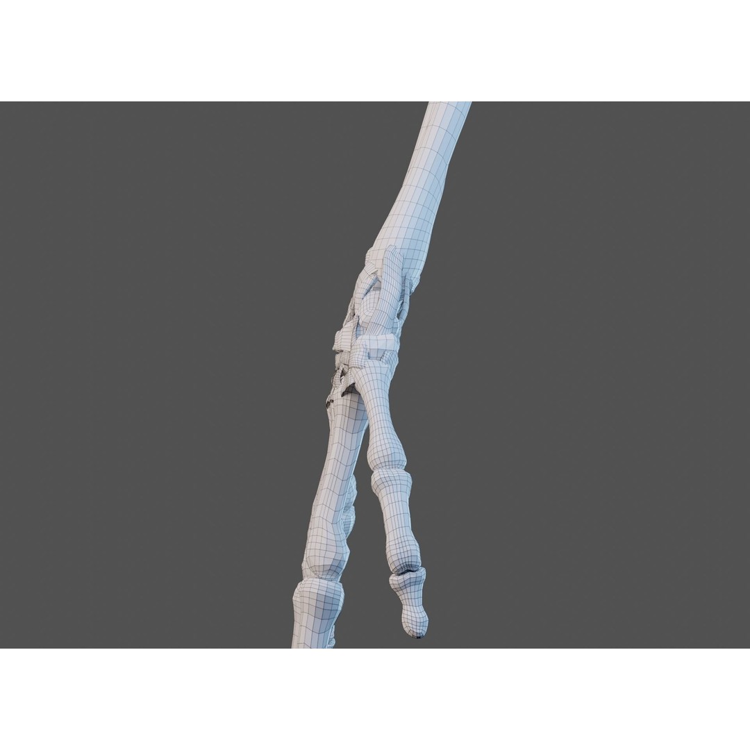 Wrist Joint Ligaments 3D Model – Anatomically Correct Medical Asset, FBX - View 28