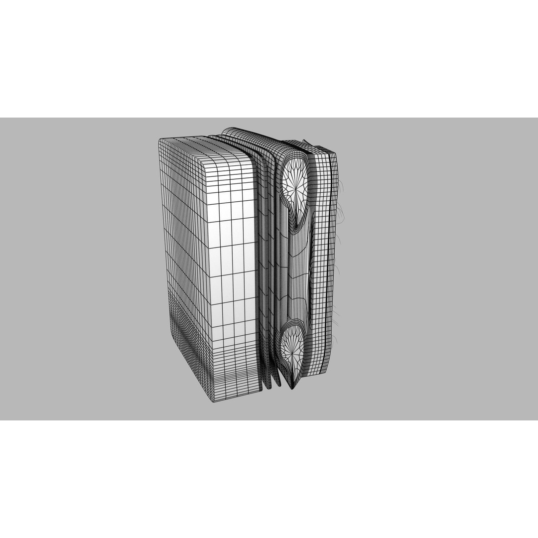 Thoracic Wall Layers 3D Model – Detailed Medical Asset, Blender, FBX, OBJ - View 19