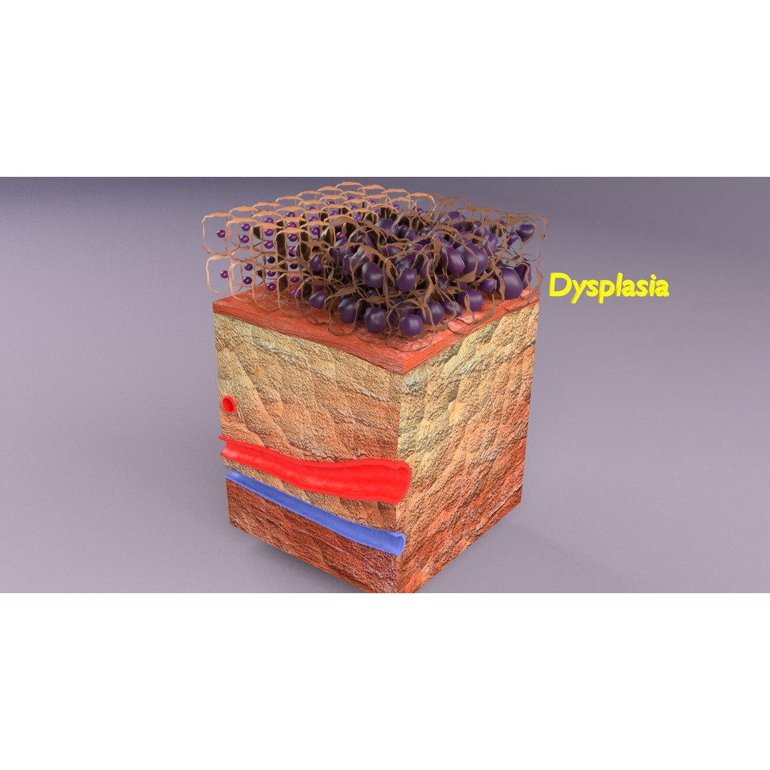 Epithelial Cell 3D Model – Low Poly Medical Asset, UV Mapped Formats - View 18