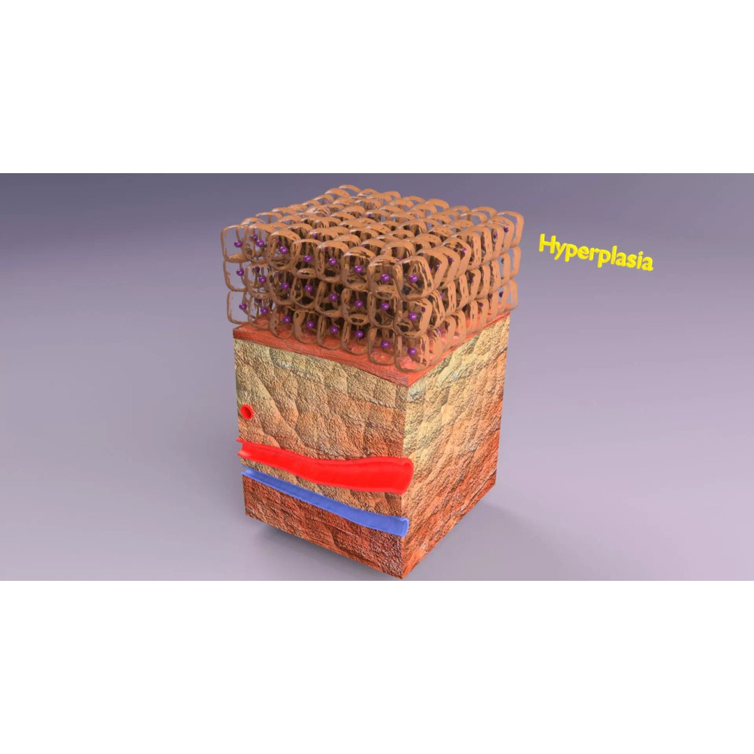 Epithelial Cell 3D Model – Low Poly Medical Asset, UV Mapped Formats - View 2