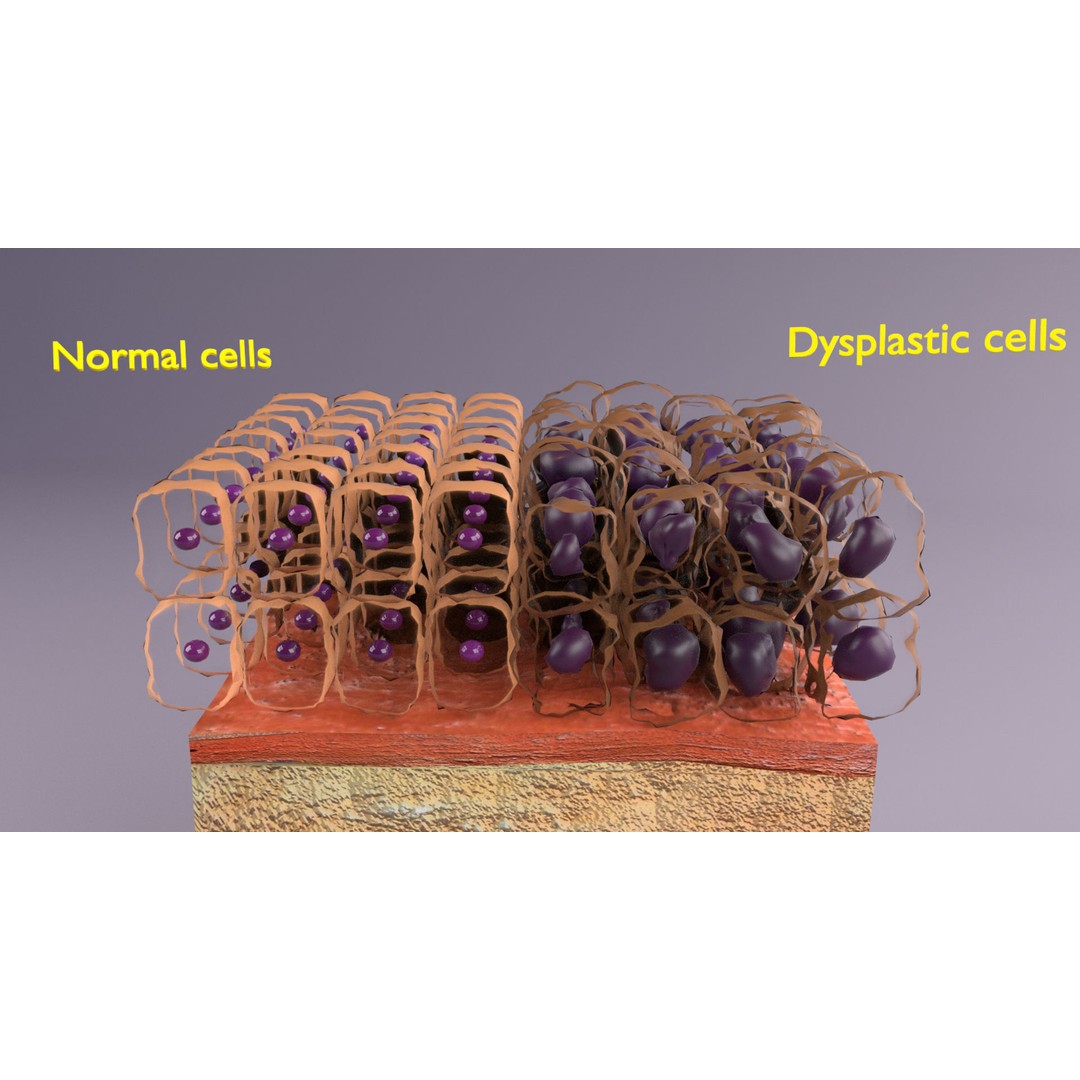 Epithelial Cell 3D Model – Low Poly Medical Asset, UV Mapped Formats - View 20