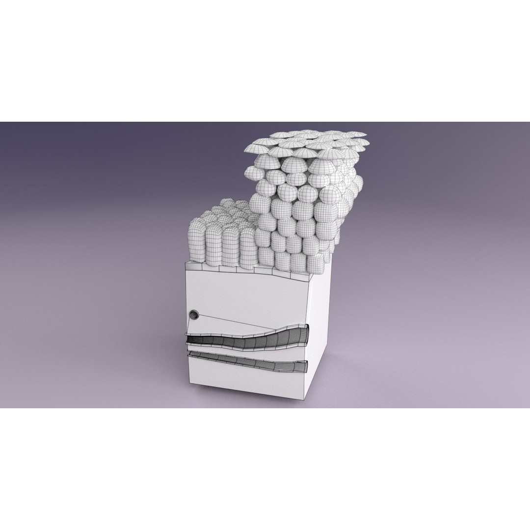 Epithelial Cell 3D Model – Low Poly Medical Asset, UV Mapped Formats - View 26