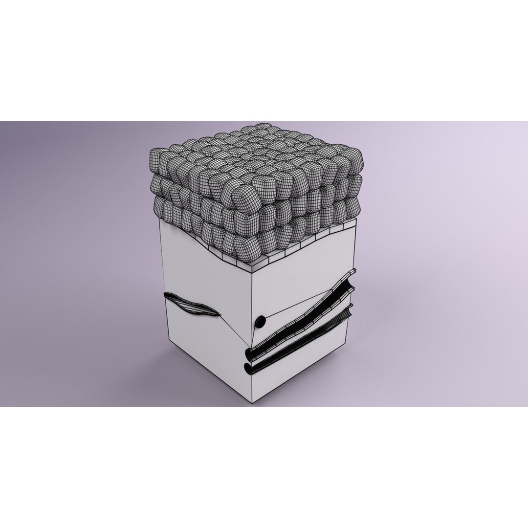 Epithelial Cell 3D Model – Low Poly Medical Asset, UV Mapped Formats - View 29