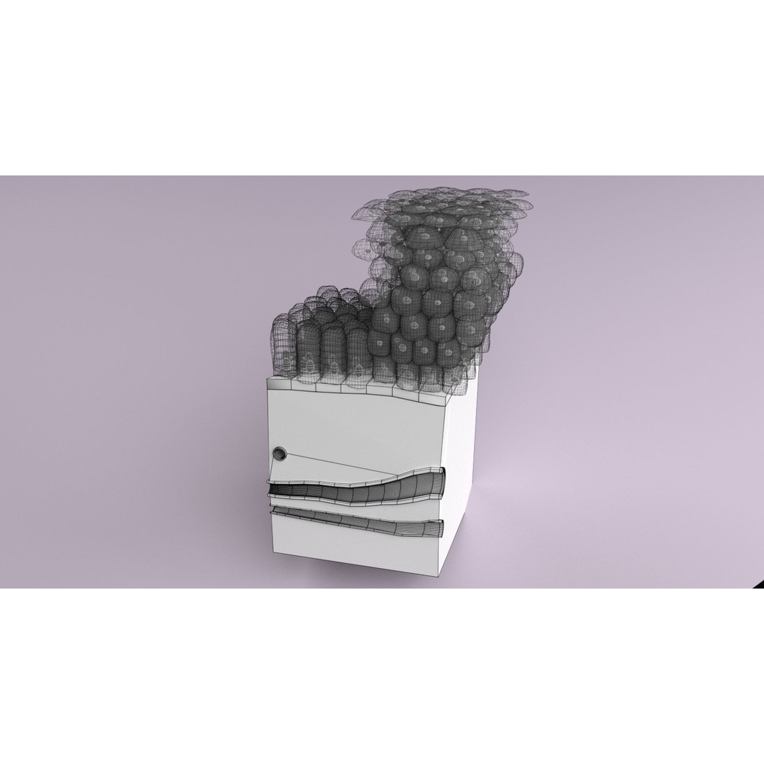 Epithelial Cell 3D Model – Low Poly Medical Asset, UV Mapped Formats - View 30