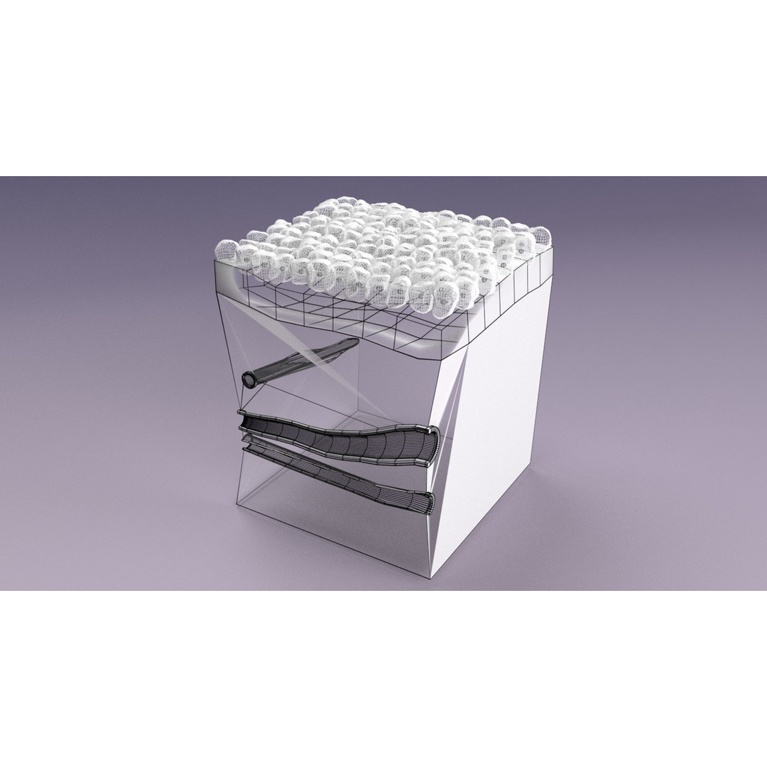 Epithelial Cell 3D Model – Low Poly Medical Asset, UV Mapped Formats - View 31